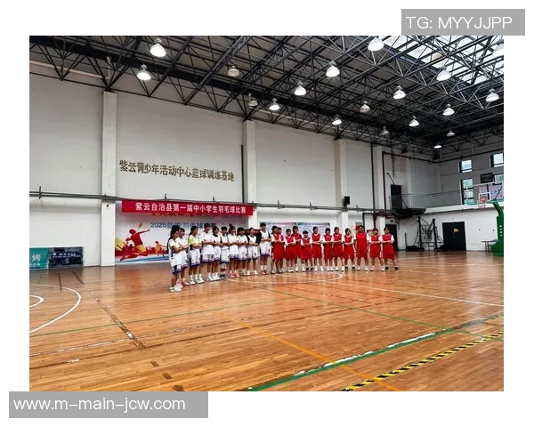 独木难支？从CJ15到全队突破，看篮球的团队韧性